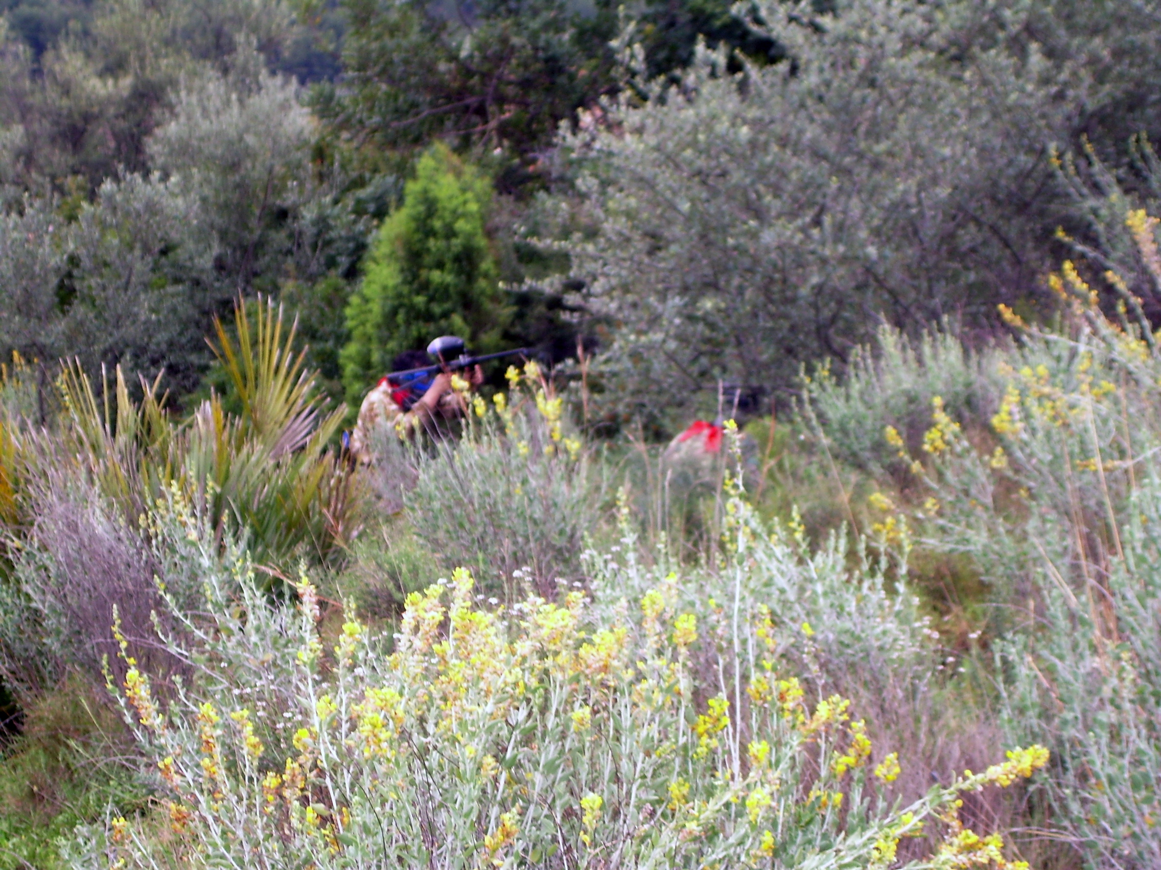 Fotografía DSCN0555 en el álbum Ribesalbes 2007